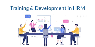 Training & Development